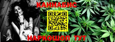 сатива Краснодар