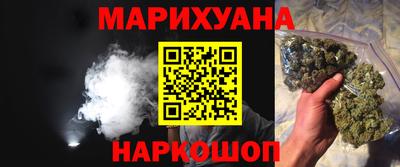 сатива Краснодар