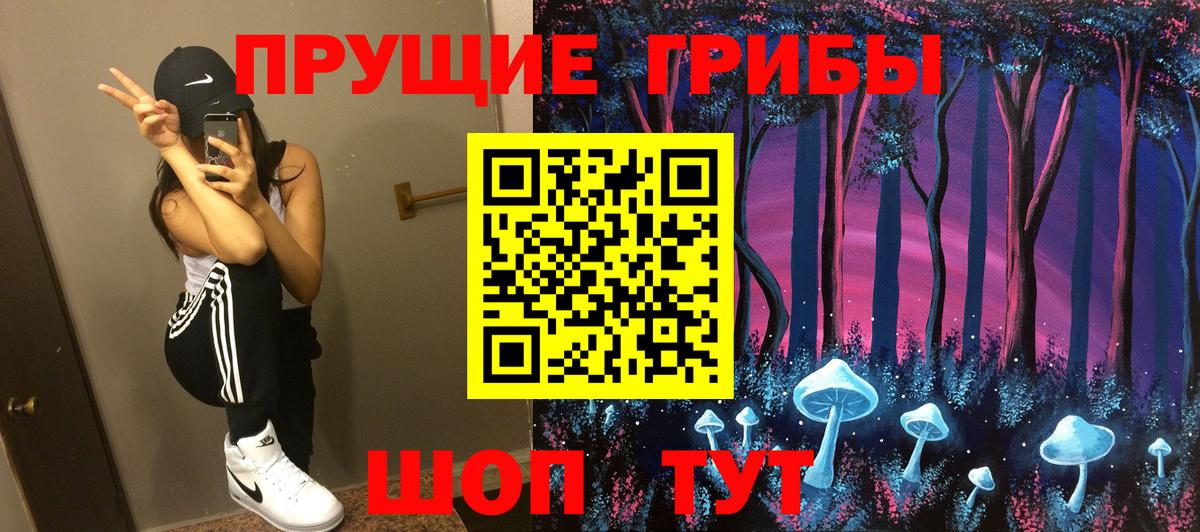 Галлюциногенные грибы Cubensis Железноводск
